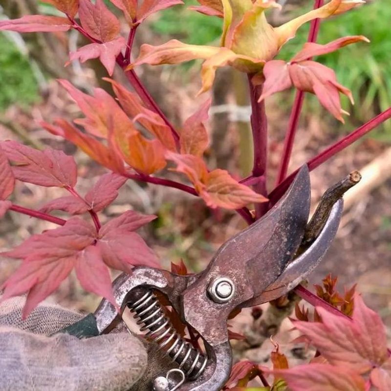 Pruning At The Wrong Time