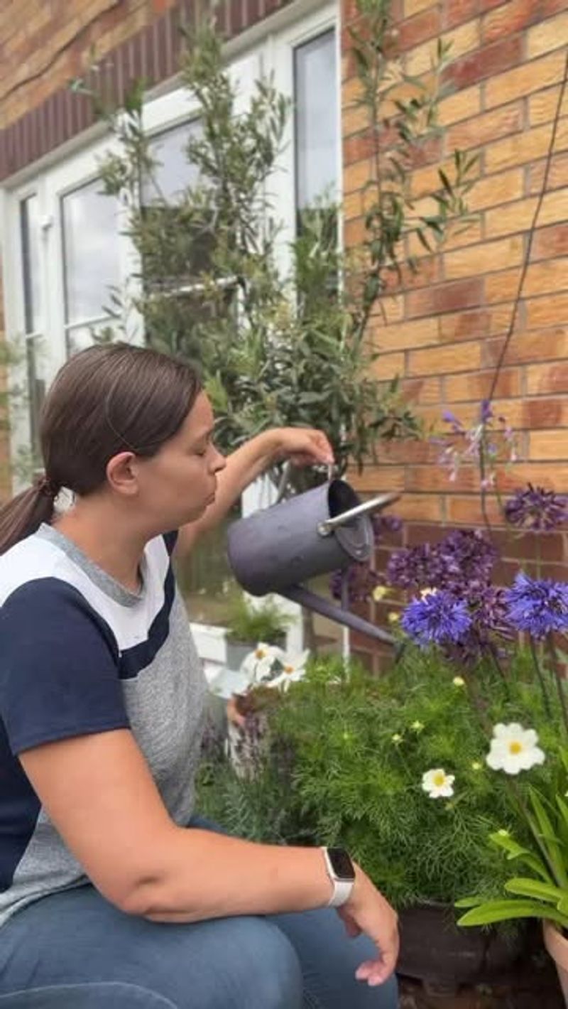 Watering During The Wrong Time Of Day