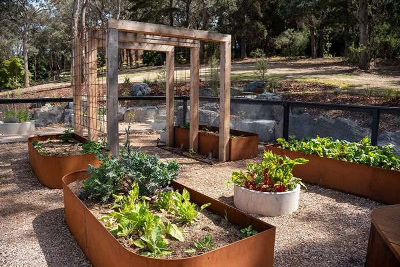 Geometric Raised Bed Vegetable Gardens