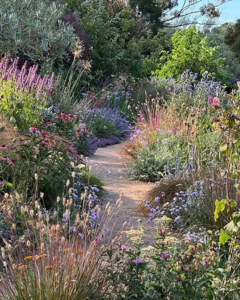 They Offer Year-Round Interest With Layered Planting