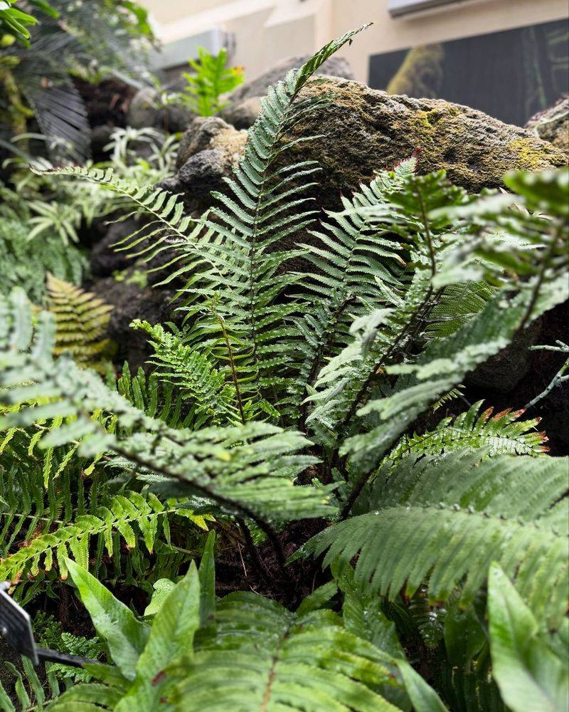 Photography Opportunities Abound In Every Season