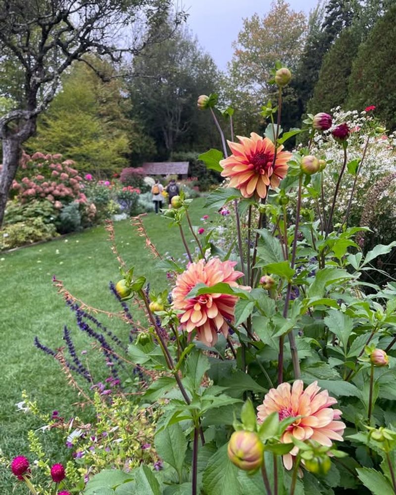 Compact Size Makes Multiple Visits Easy And Enjoyable