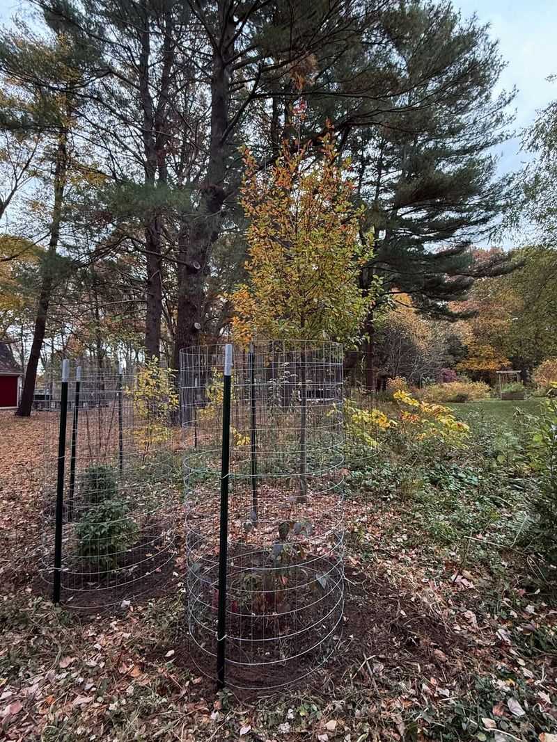 Physical Barriers That Actually Work