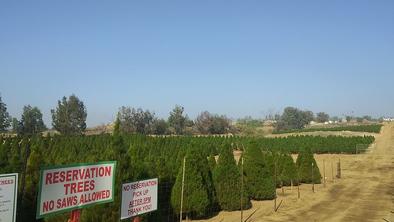 Sand Haven Pines - Riverside County