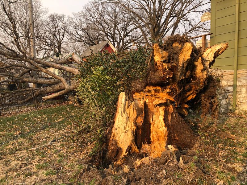 Negligence Changes Everything About Liability