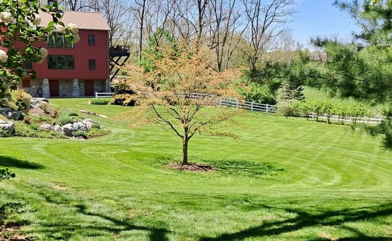 Increased Rainfall Patterns