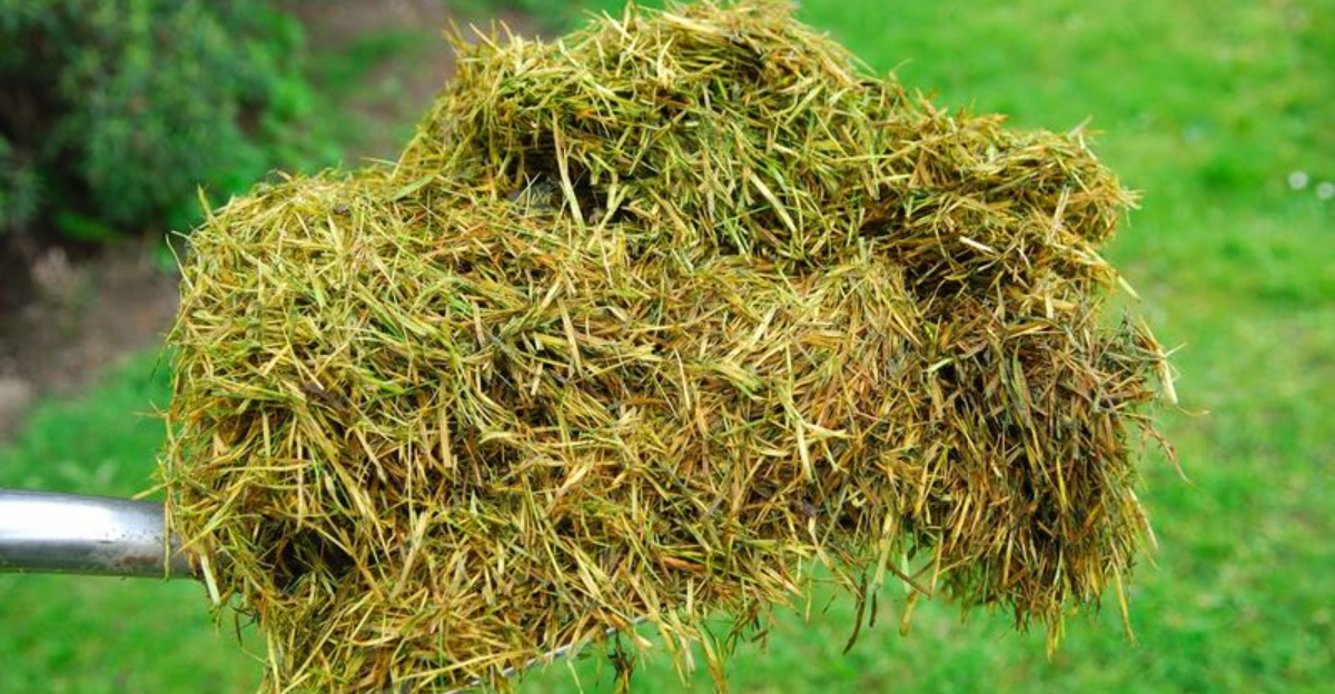 grass clippings (featured image)