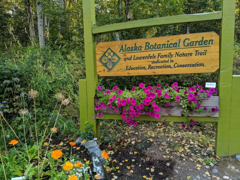 Rock Garden Showcasing Alpine Plants