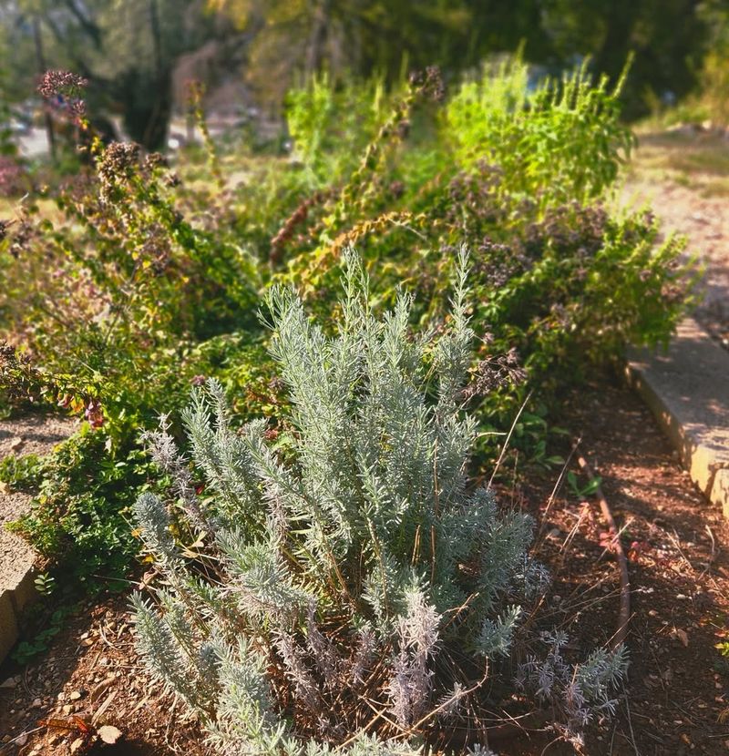 Extreme Water Conservation Benefits