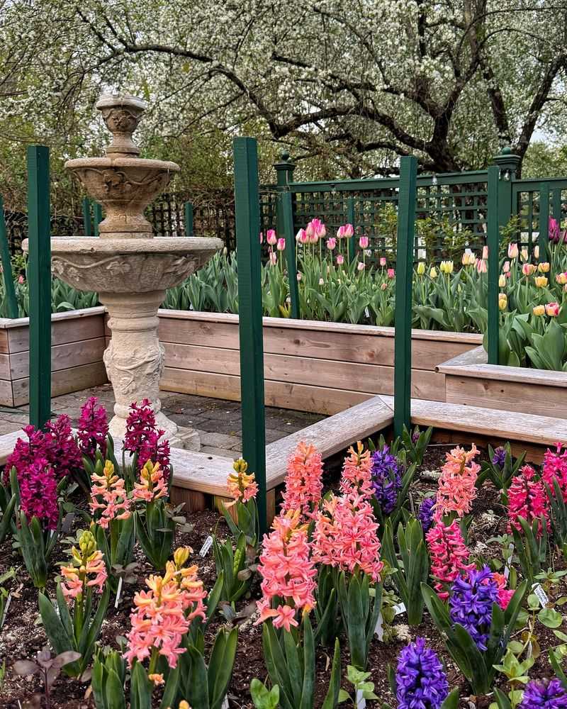 Creates A Natural Outdoor Entertainment Space