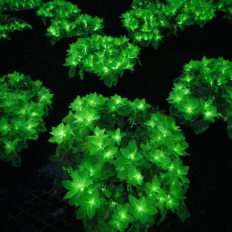 A New Kind Of Natural Garden Lighting