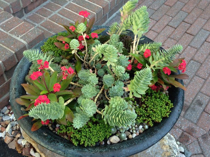 Winter Protection Becomes Easy