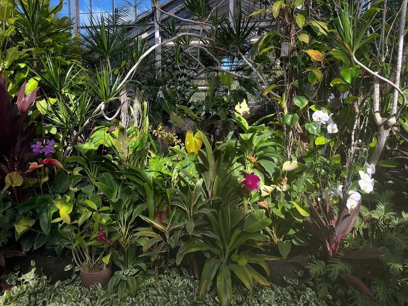 Educational Programs That Teach About Hawaiian Nature