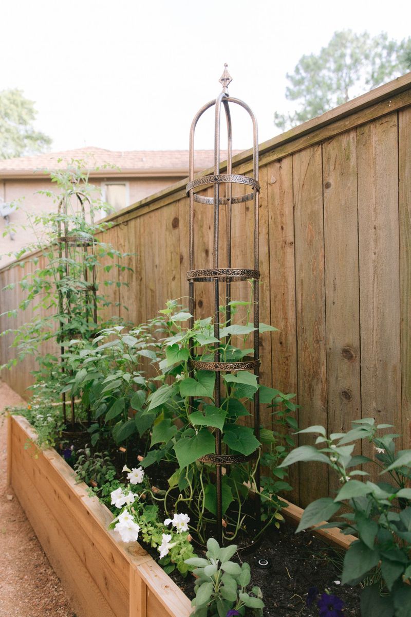 Fence-Integrated Trellises