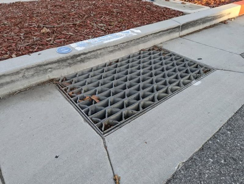 Local Ordinances May Provide Additional Protection