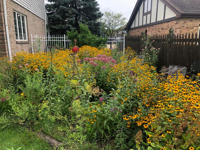 Climate Resilience Prepares Yards for Changing Weather