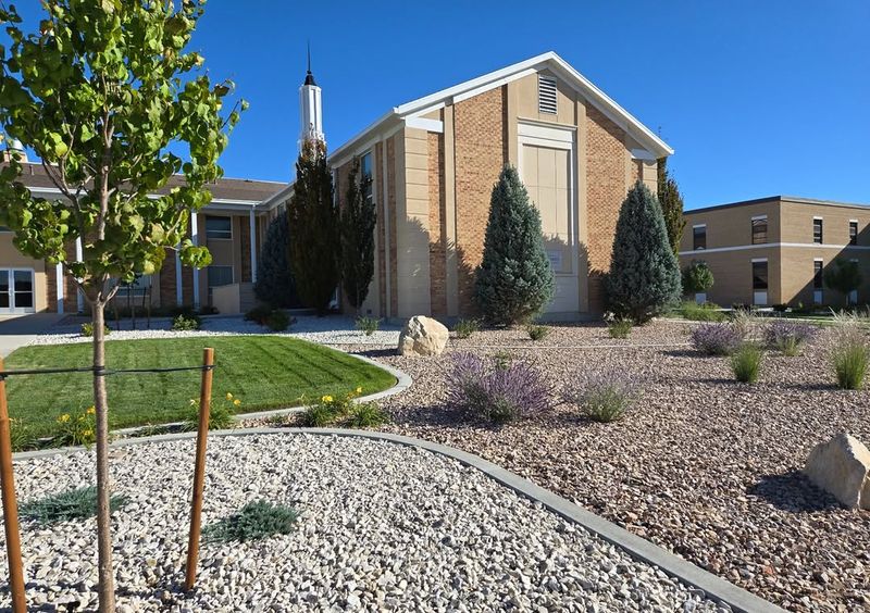 Community And Government Support