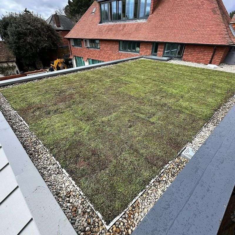 Temperature Extremes Stress Plant Roots