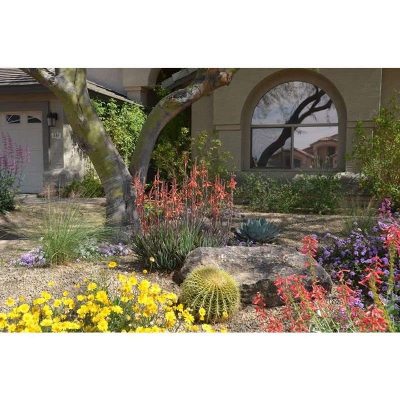 Soil Amendments Become Unnecessary