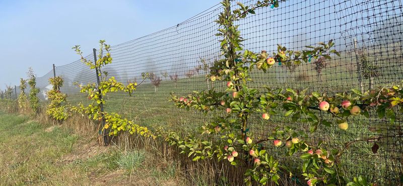 Dispute Resolution Options For Crop Conflicts