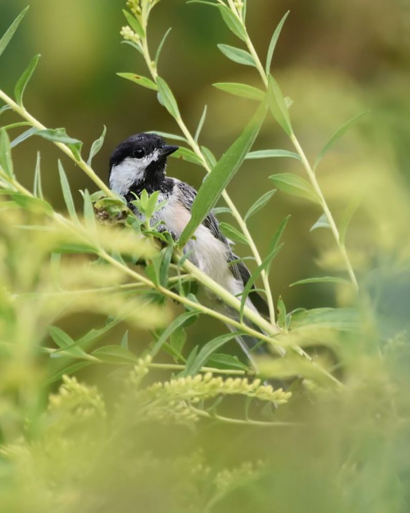 Seasonal Food Sources Throughout The Year