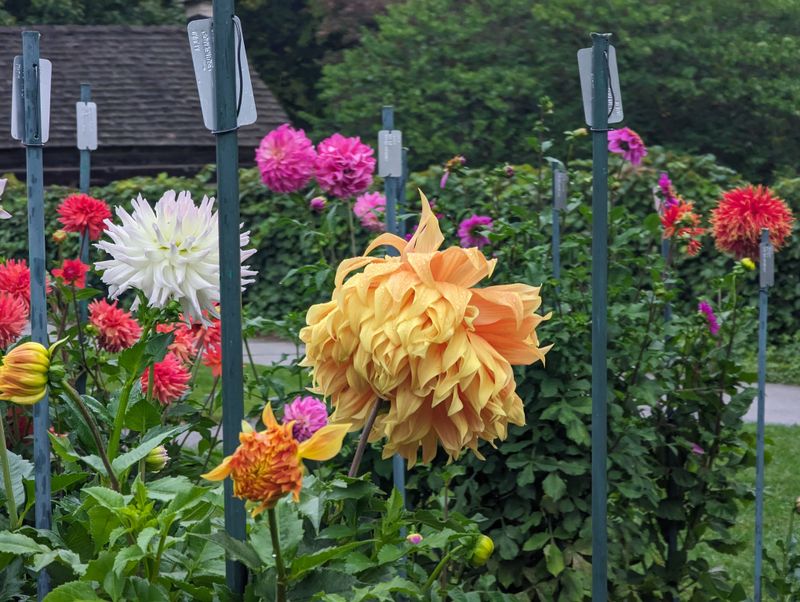 English Gardens - Toledo Area