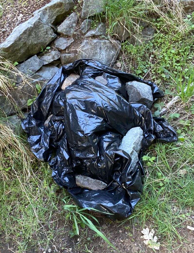 Proper Disposal Methods Protect Everyone