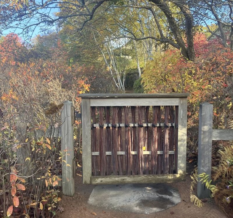 Quiet Atmosphere Provides Stress Relief