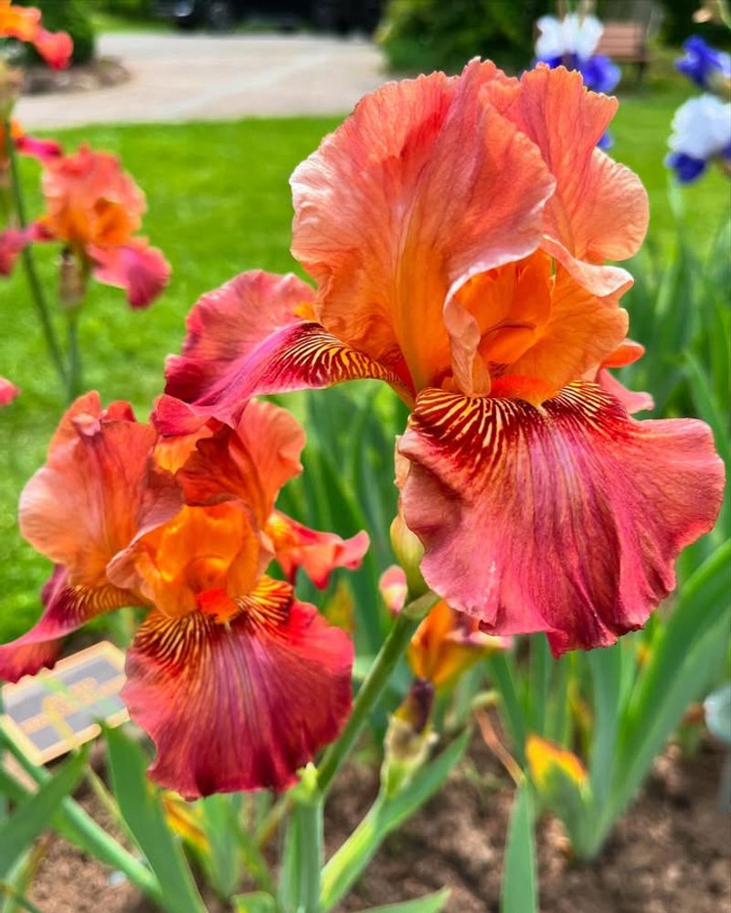 Conservation Concerns Threaten Future Populations