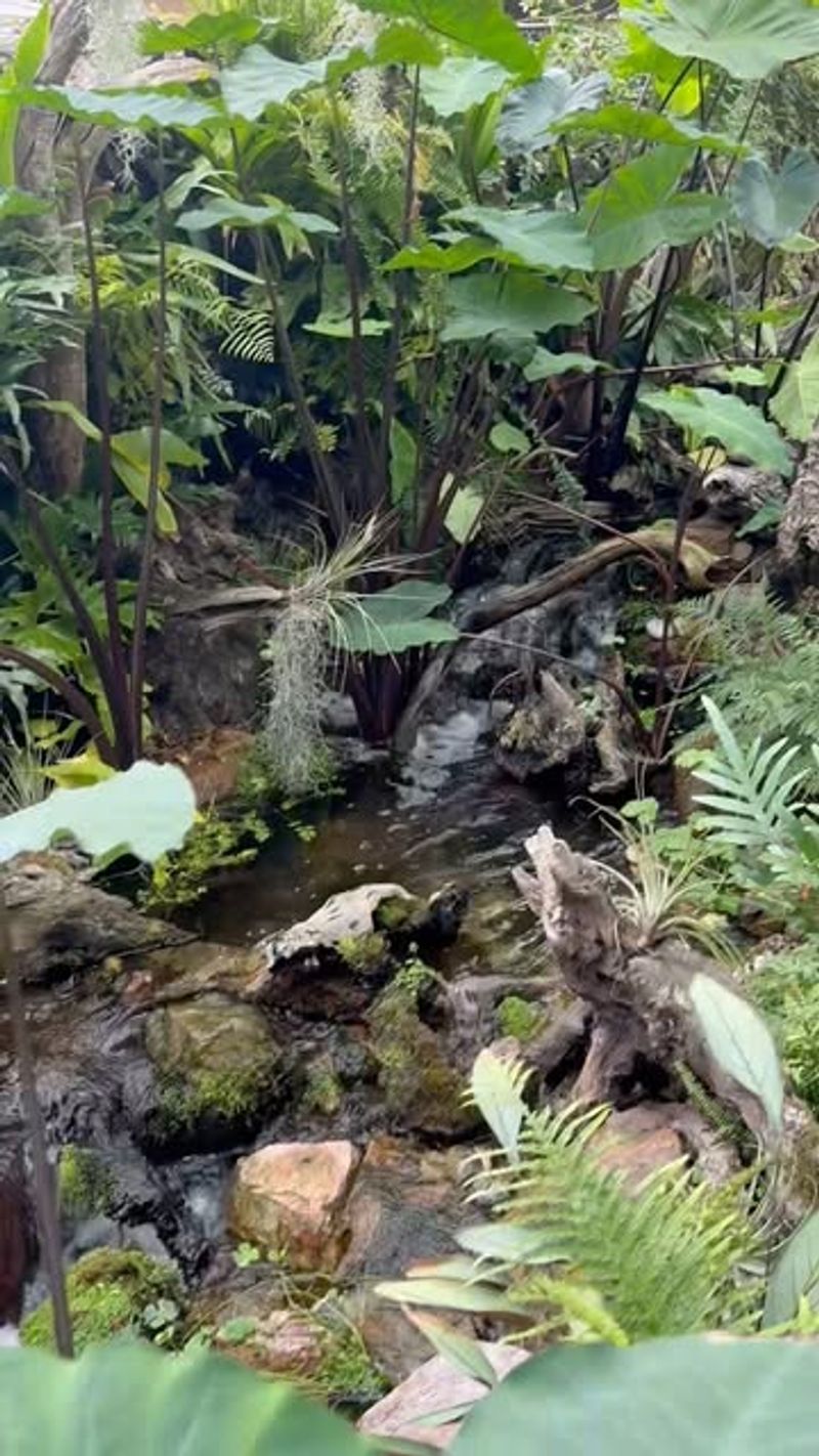 Wildlife Habitat Supporting Diverse Ecosystems