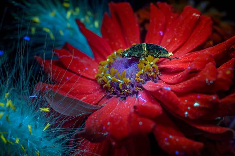 Educational Value Captivates Young Minds