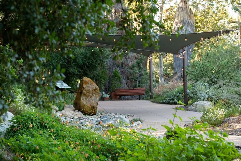 Connecting With Nature Grounds Your Mind