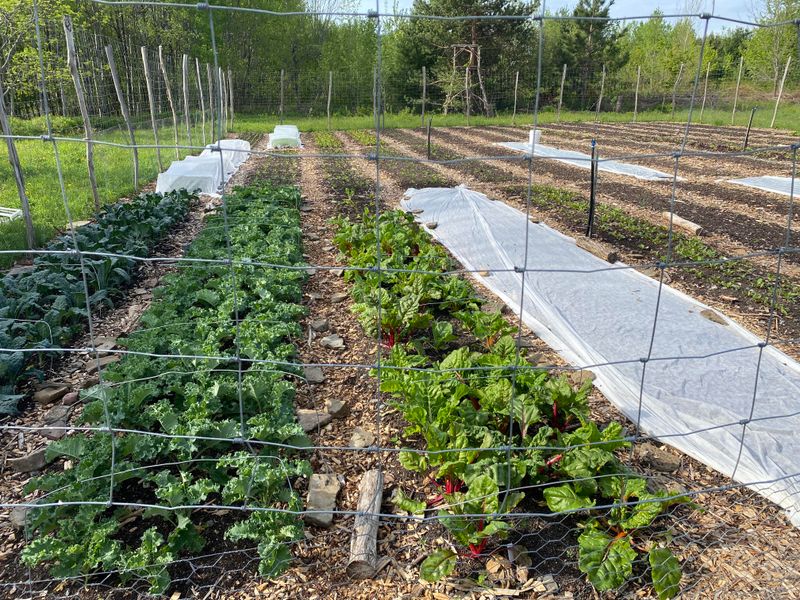 Nutrient Cycling Becomes More Efficient