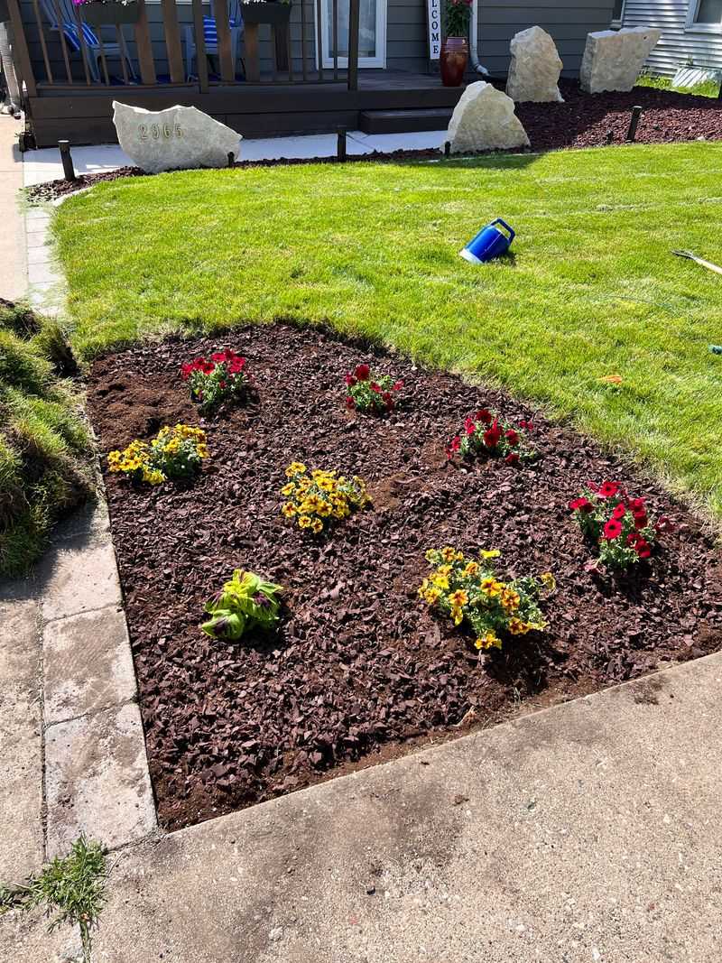 Reducing Mulch Depth Can Help Prevent Future Growth