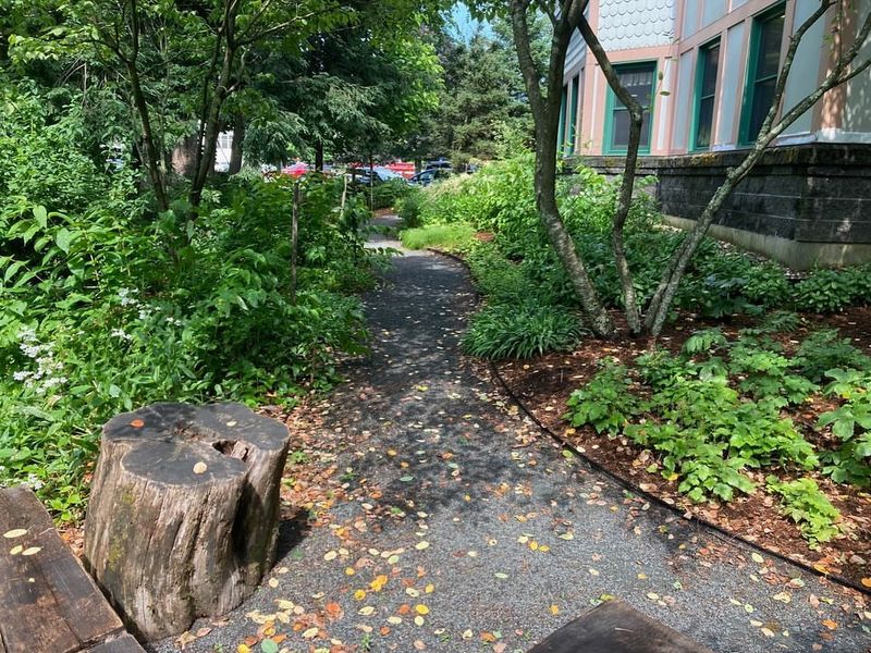 Clear Away Existing Vegetation