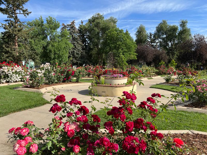 Longmont Memorial Rose Garden