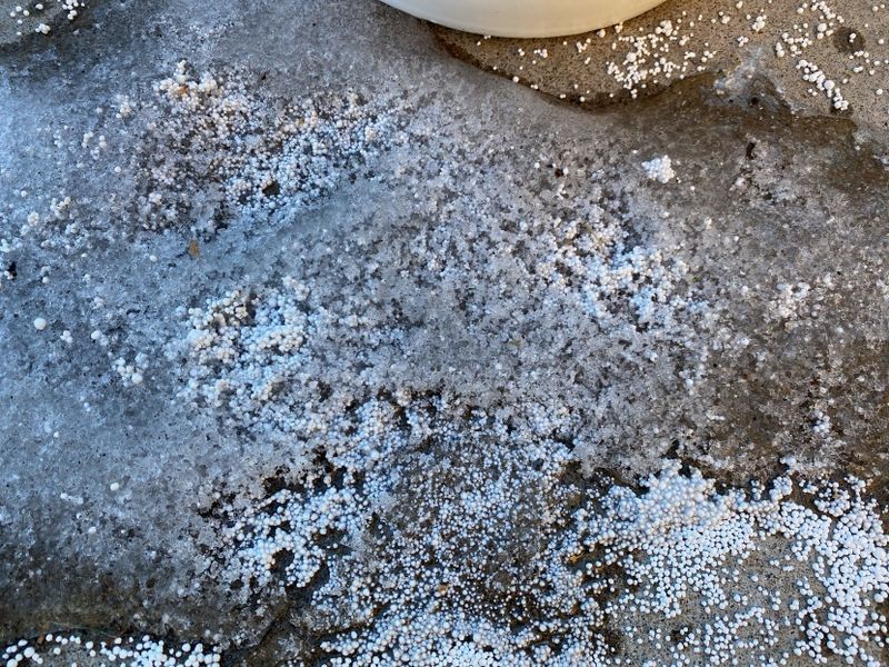 Ignoring Wind Direction When Spreading Granular Products