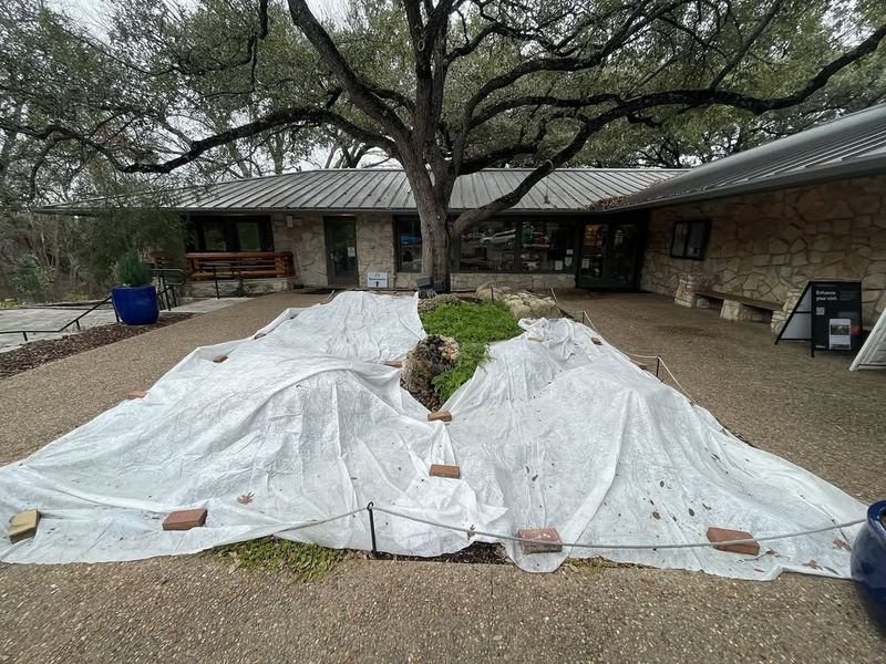 Row Cover Fabric and Frost Cloth