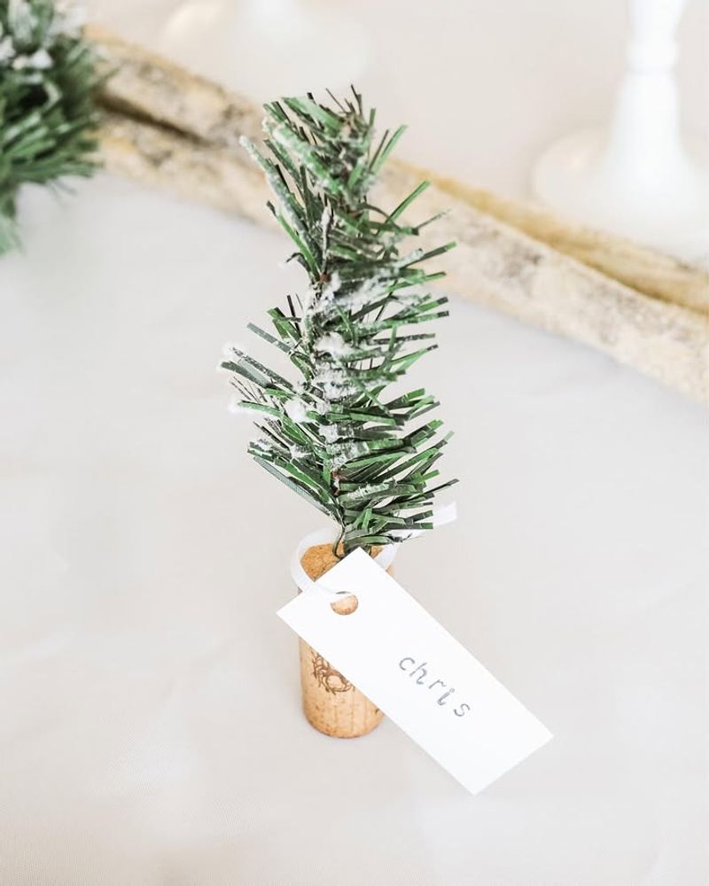 Pinecone Place Card Holders