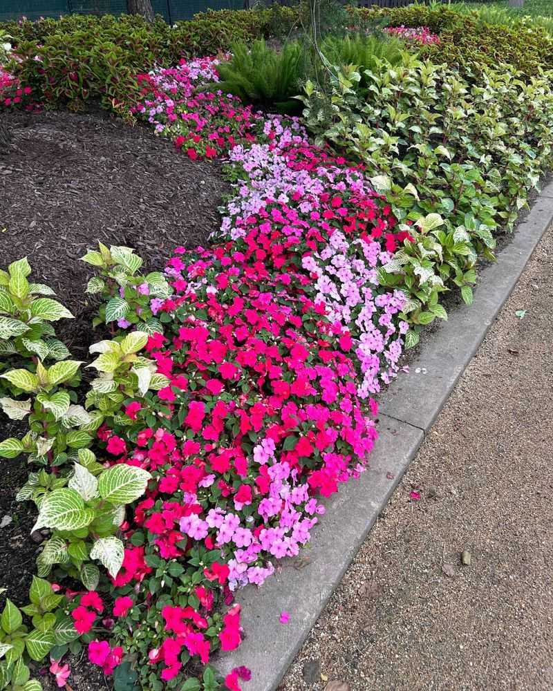 Mixing Light And Deep Pink Shades