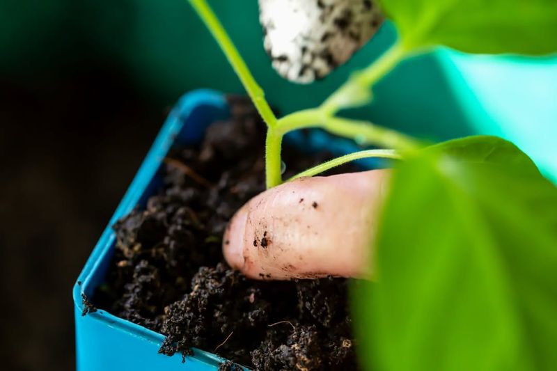 Water Correctly Without Overcompensating For Dry Air