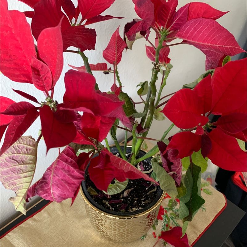 Ignoring Temperature Fluctuations From Air Conditioning