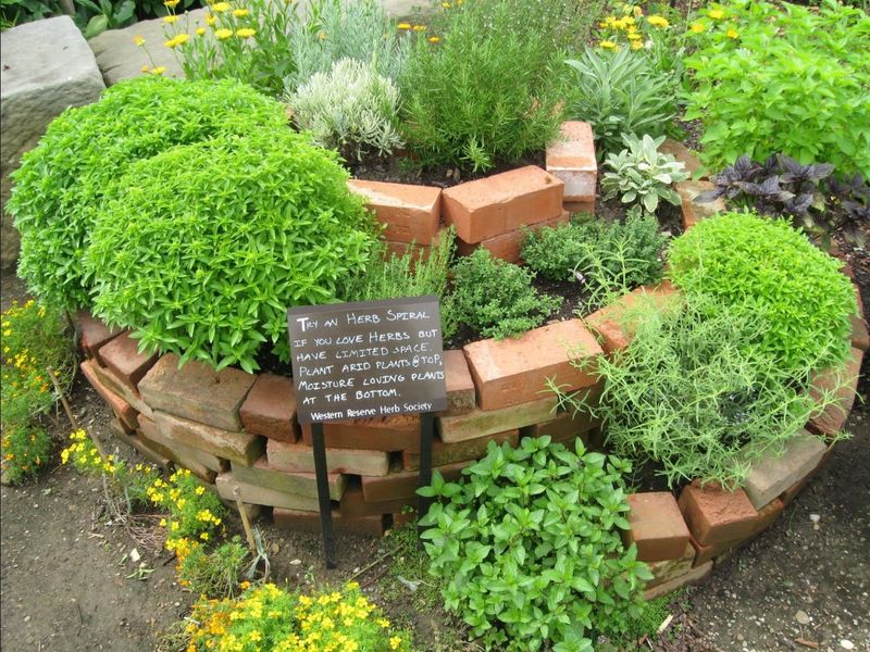 Establish Permanent Herb Spiral Gardens