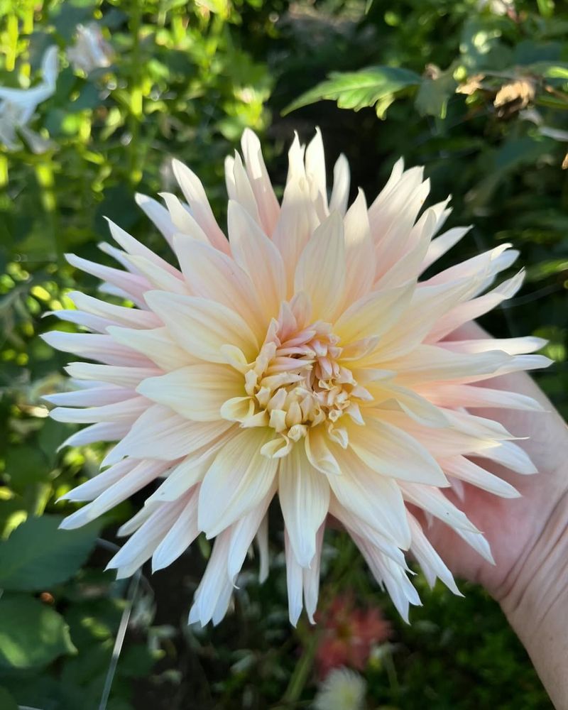 Maintaining That Fresh, Clean Look