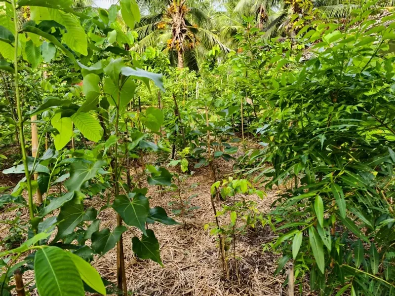 Water Regularly the First Year