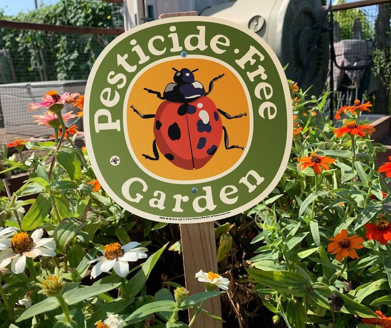 Avoid Pesticides And Herbicides In Your Entire Yard