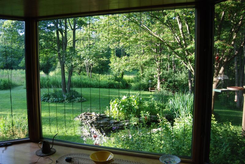 Minimize Window Collisions