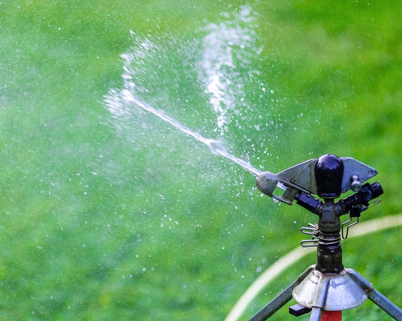 Use Motion-Activated Sprinklers For Surprise Defense