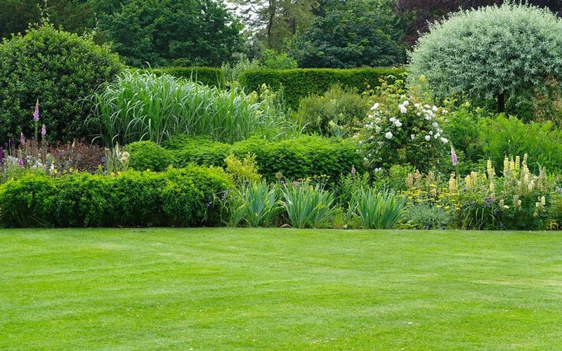 Protect Garden Edges And Hedgerows