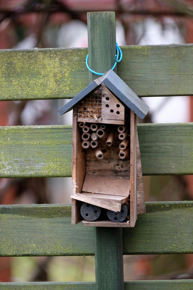 Build Or Buy Bee Houses